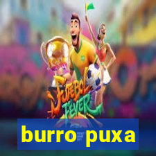 burro puxa